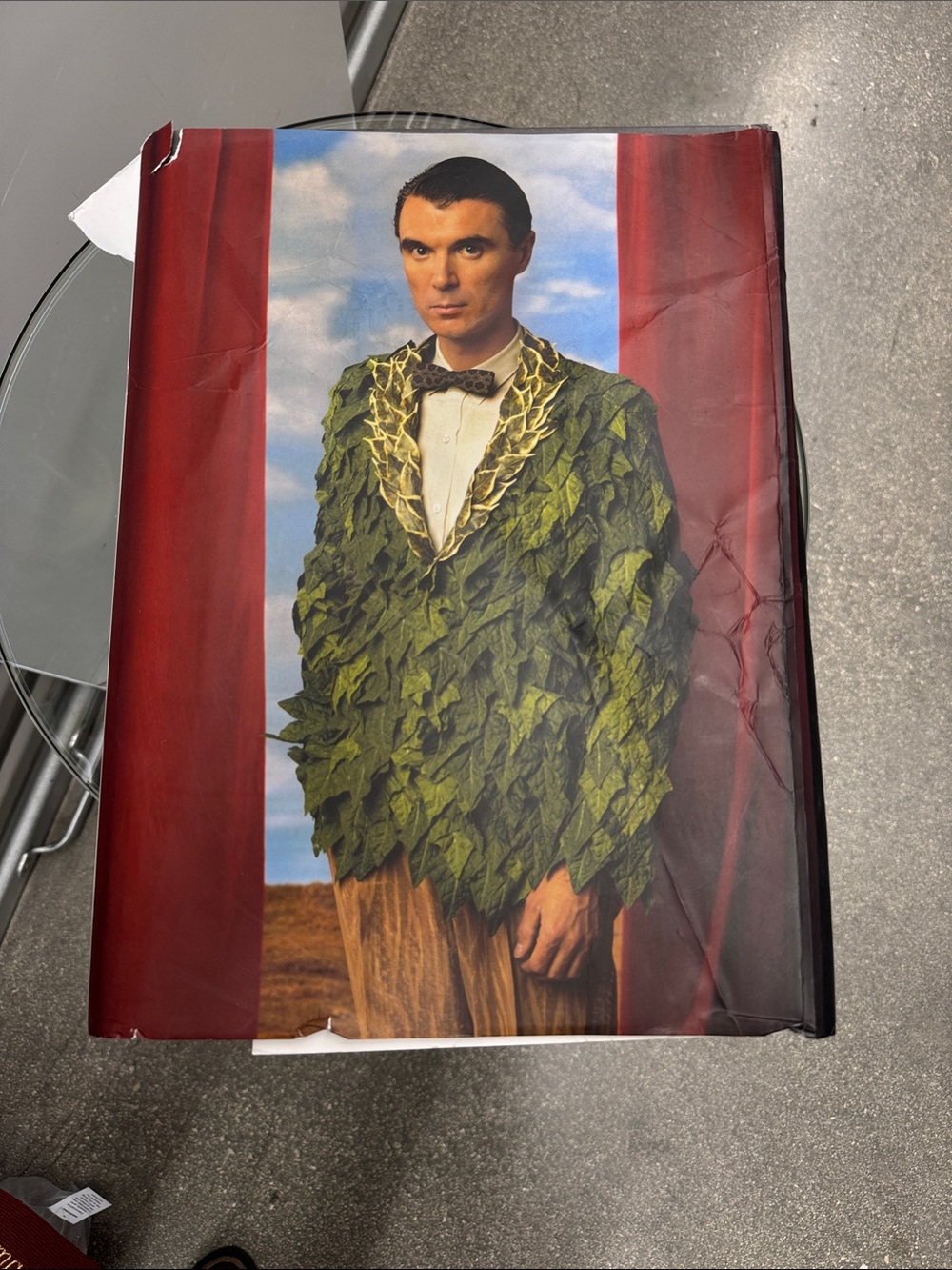 Leaf Jacket Art Coffee Table Book - Green Cover